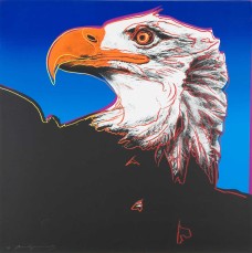 /userimg/JgMlo/Bald Eagale Andy Warhol - Copy.jpg